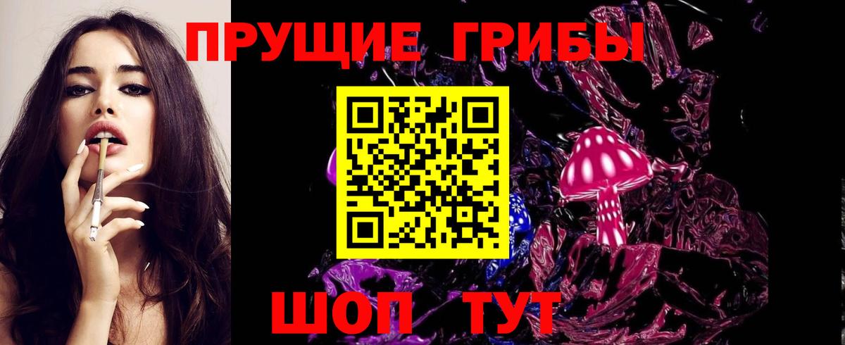 Псилоцибиновые грибы Psilocybe  Вход с VPN  Псилоцибиновые грибы GOLDEN TEACHER  Кудрово 