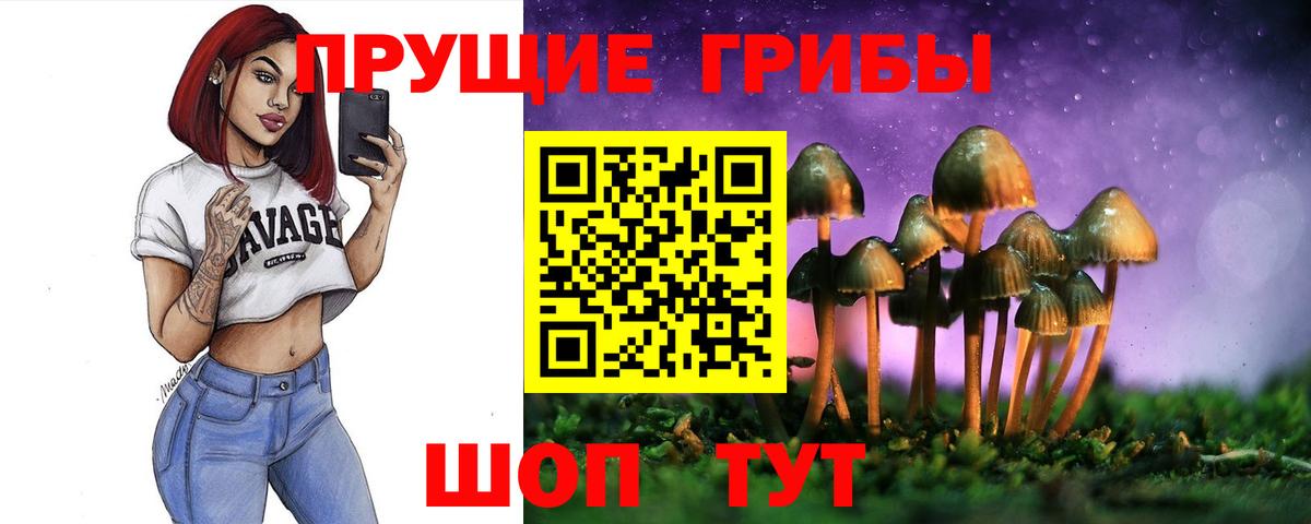 Галлюциногенные грибы GOLDEN TEACHER Кудрово